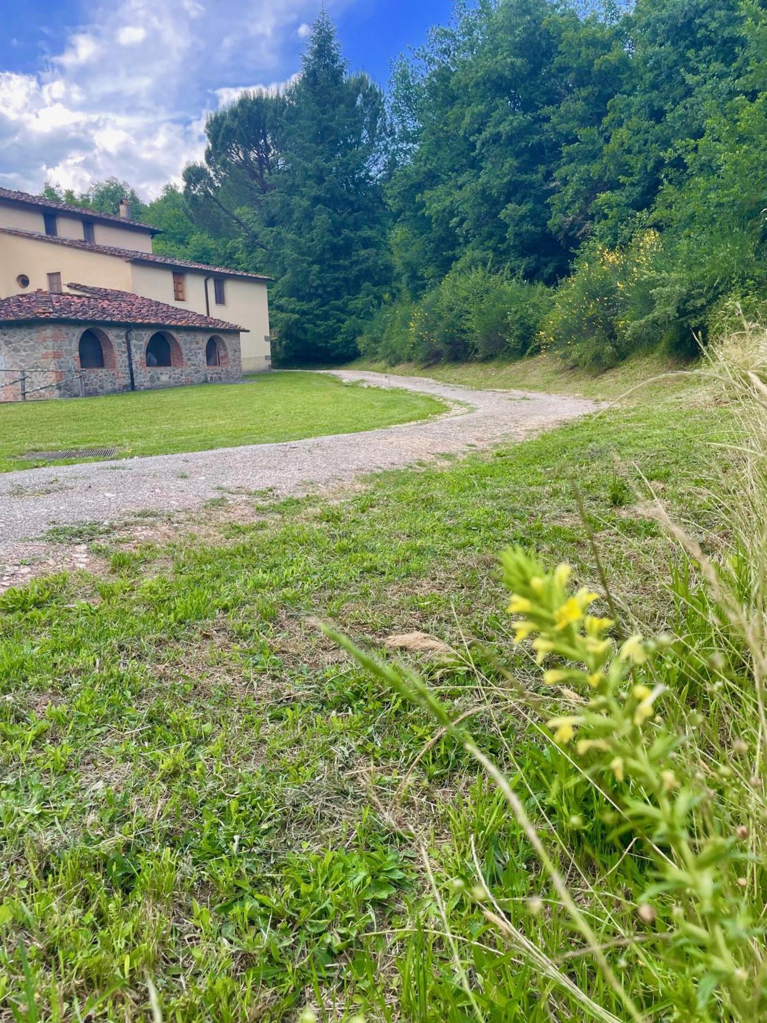 Gioconda Casa Vacanze Montevarchi Exterior foto